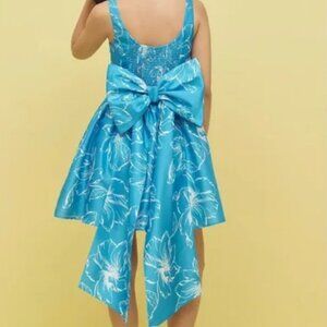 NEW Hutch Anthropologie Sleeveless Back-Bow Basque-Waist Mini Dress Blue Floral